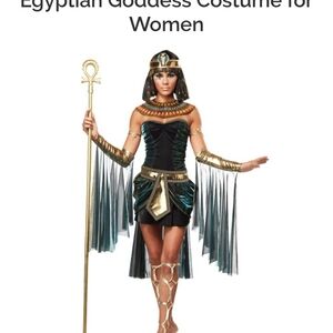 California Costumes Adult Costume